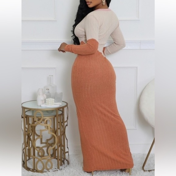 #321 Rust/taupe/pink button down dress - Picture 2 of 3